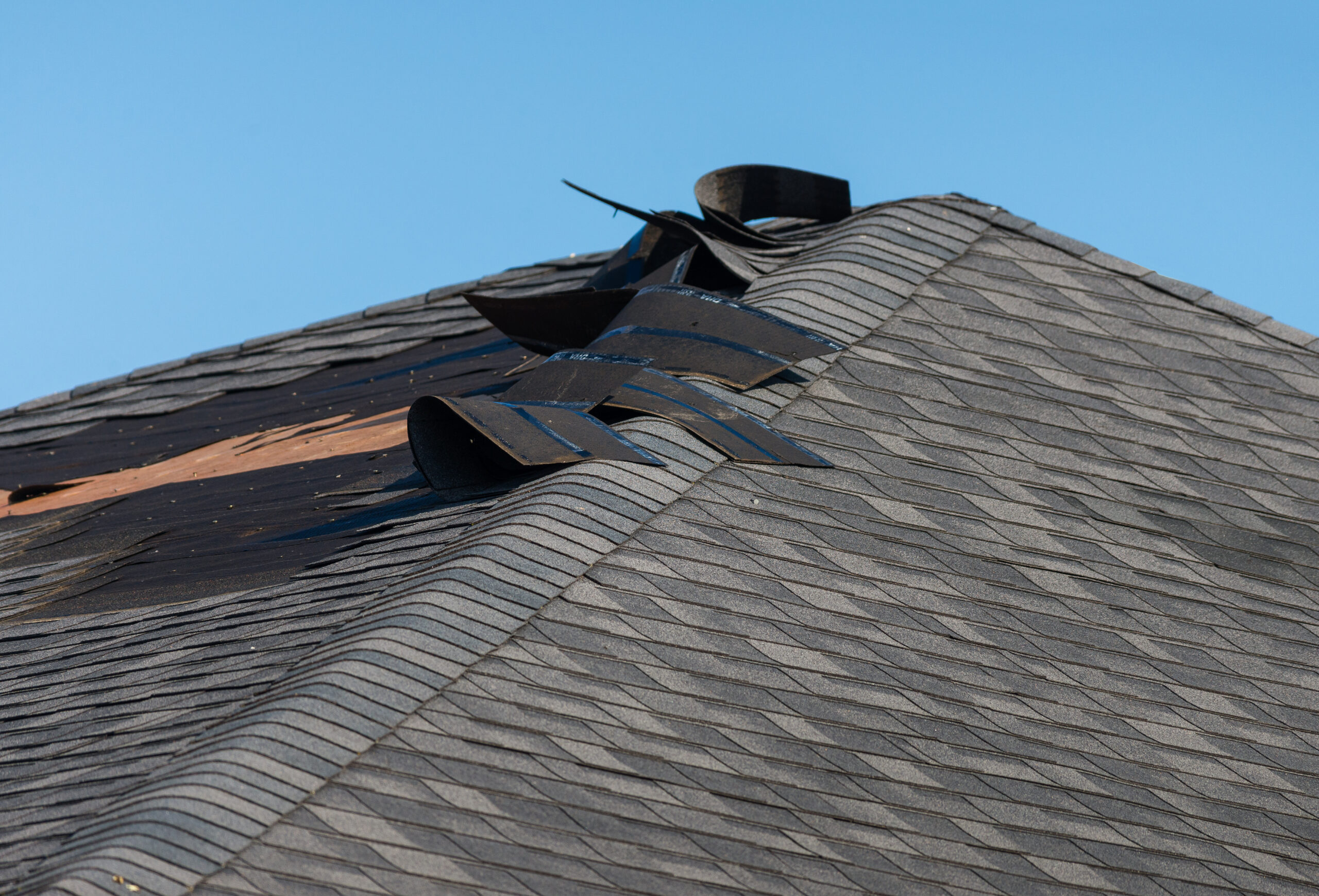 What Wind Does to an Asphalt Shingle Roof