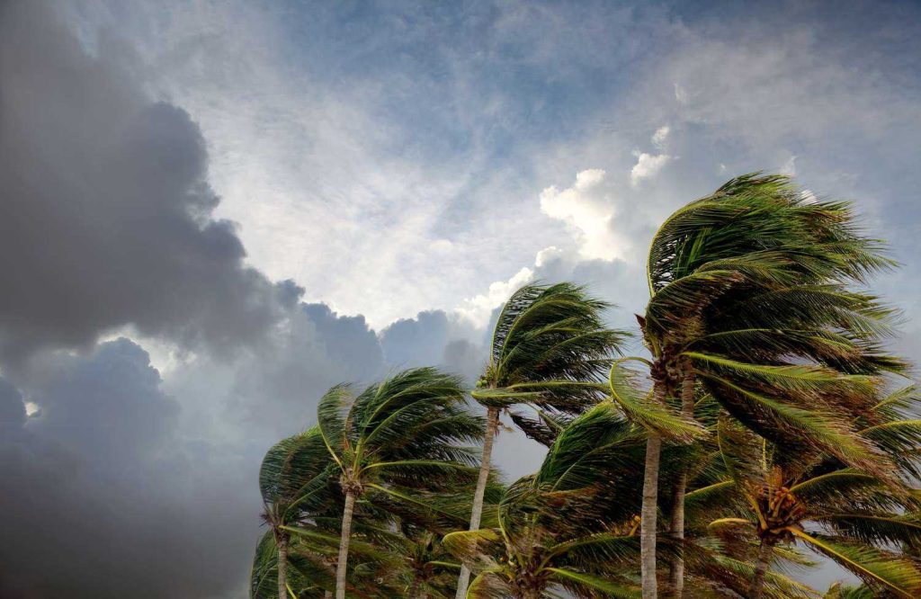 Tropical Disturbances, August Through October
